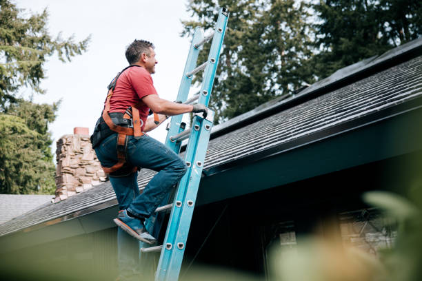 Steel Roofing in Walnut Cove, NC